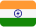 India Flag Logo